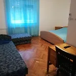 Oeroekzoeld Apartament