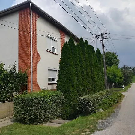 örökzöld